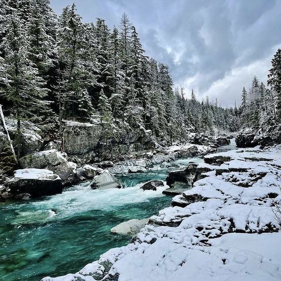 Meet your Posher, Dianna - Picture 1 of 1